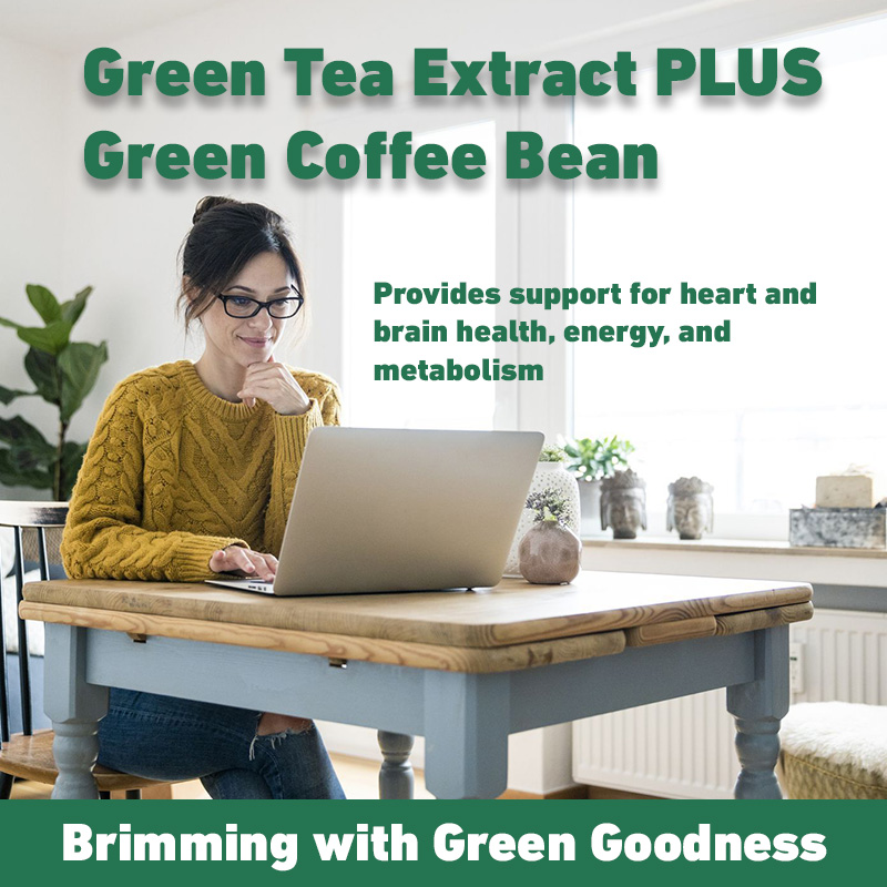 Green Tea Extract - Fast Fat B - đánh giá và giá Green Tea Extract Fat