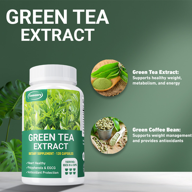 Green Tea Extract - Fast Fat B - đánh giá và giá Green Tea Extract Fat