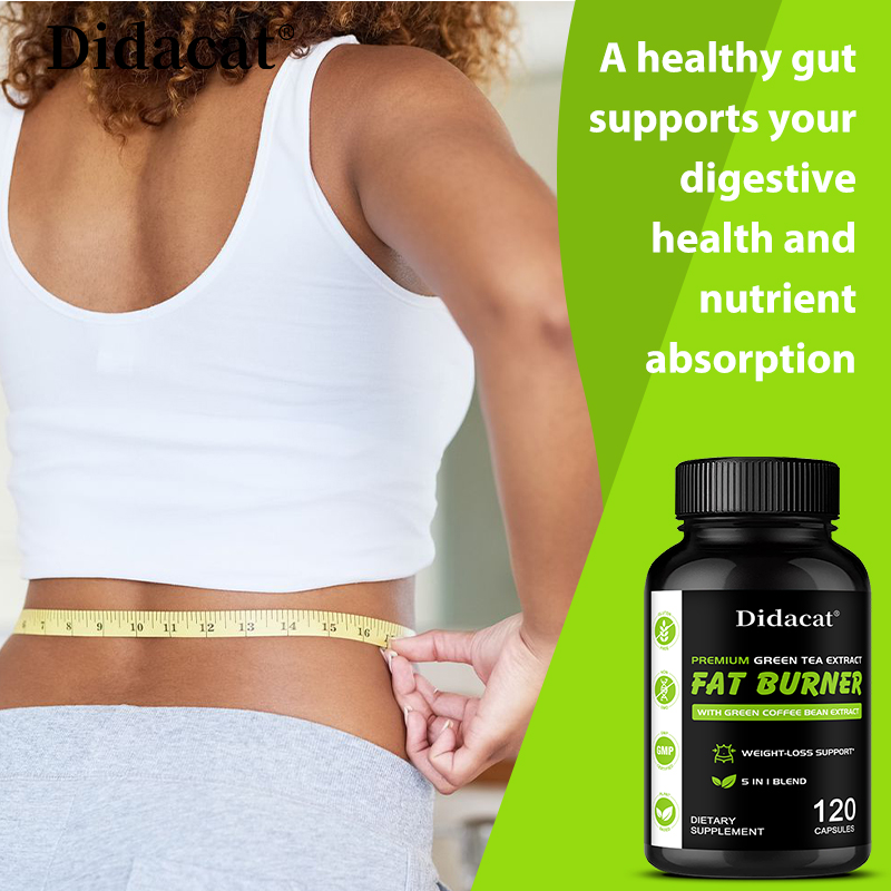 Garcinia Cambogia, Green Tea E - đánh giá và giá Green Tea Extract Fat