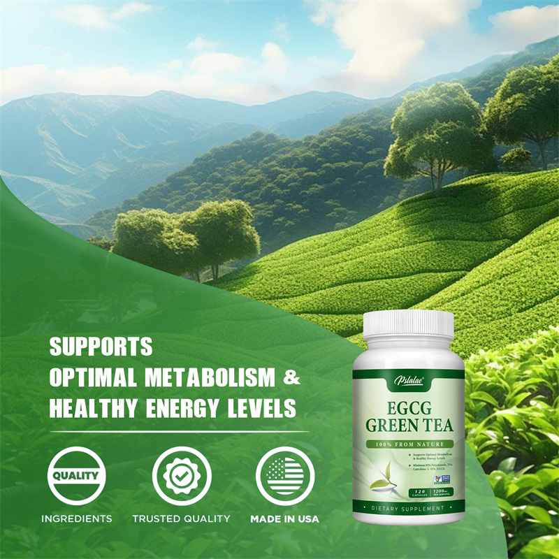 EGCG Green Tea Extract - Boost - đánh giá và giá Green Tea Extract Fat