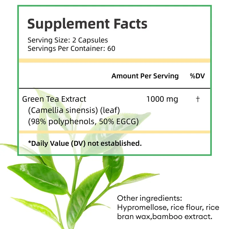 Green Tea Extract - with 98% P - đánh giá và giá Green Tea Extract Fat