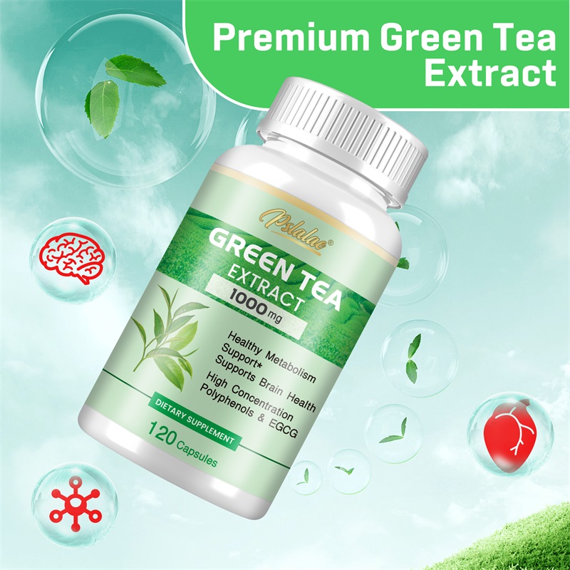 Green Tea Extract - with 98% P - đánh giá và giá Green Tea Extract Fat