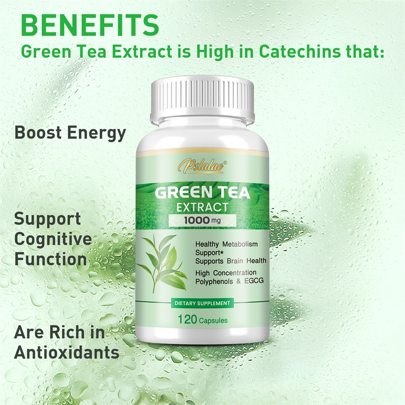 Green Tea Extract - with 98% P - đánh giá và giá Green Tea Extract Fat