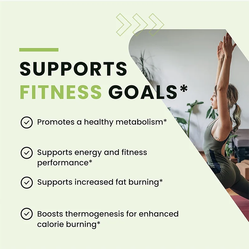 Green Tea Fat Burner - Support - đánh giá và giá Green Tea Extract Fat