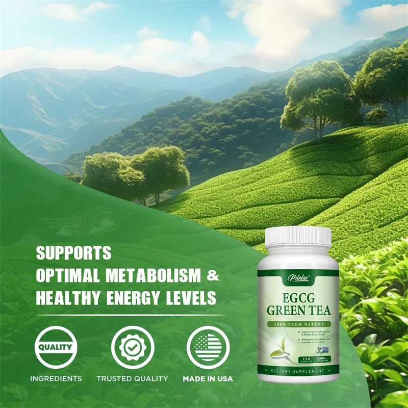 EGCG Green Tea Extract - Boost - đánh giá và giá Green Tea Extract Fat